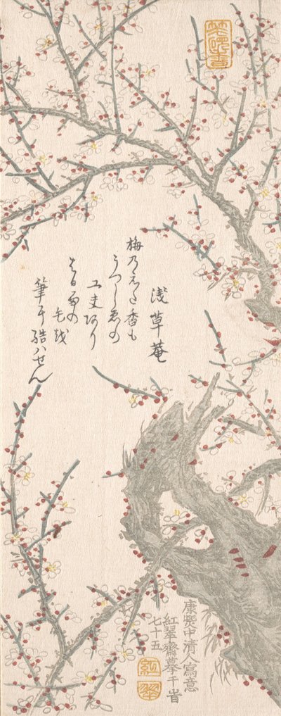 Plum Tree in Blossom, 1813. de Kitao Shigemasa