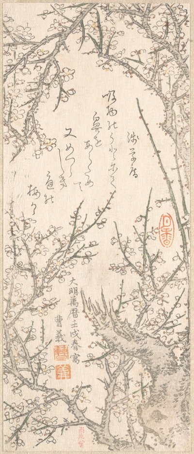 Ameixeira em Flor, 1813. de Kitao Shigemasa