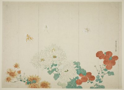 Três tipos de crisântemos de Kitao Shigemasa