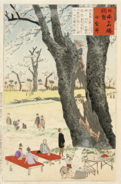 Koganei, Flores de Cerejeira de Kiyochika Kobayashi