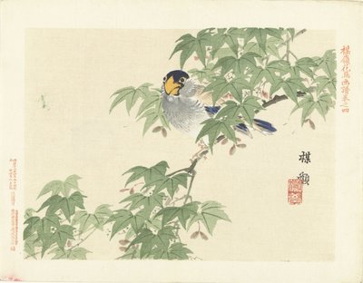 pássaro azul-acinzentado Esboços de flores e pássaros de Bairei (título da série) Barei kacho gafu (título da série no objeto) de Kono Bairei