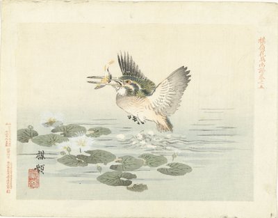 Kingfisher
Esboços de flores e pássaros da Bairei (título da série)
Barei kacho gafu (título da série sobre o objecto) de Kono Bairei