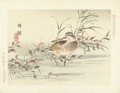 recorte Esboços de flores e pássaros de Bairei (título da série) Barei kacho gafu (título da série no objeto) de Kono Bairei