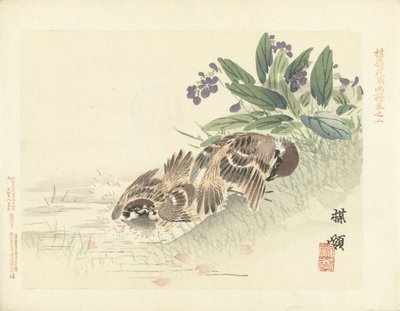 Dois pardais
Esboços de flores e pássaros da Bairei (título da série)
Barei kacho gafu (título da série sobre o objecto) de Kono Bairei