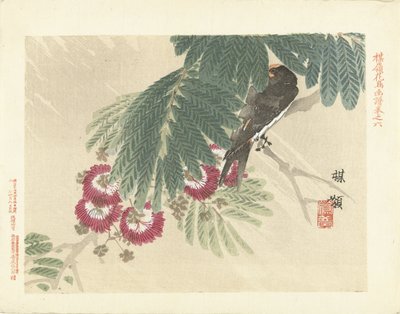 Andorinha
Esboços de flores e pássaros da Bairei (título da série)
Barei kacho gafu (título da série sobre o objecto) de Kono Bairei