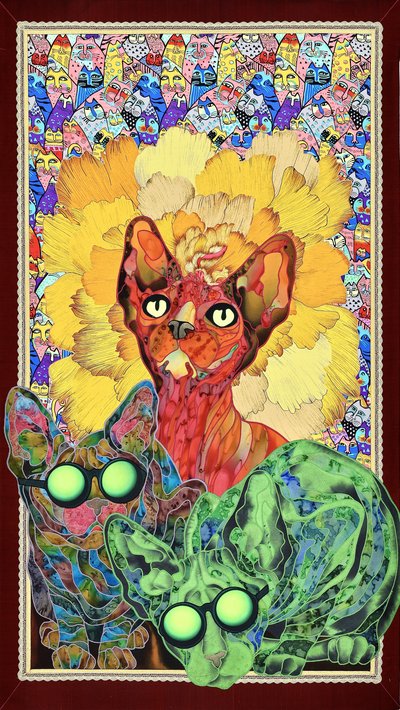 Gatos Sphynx coloridos de Kostyantin Malginov