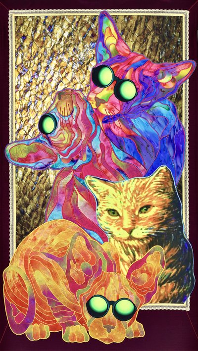 Gatos com Óculos Fixes de Kostyantin Malginov