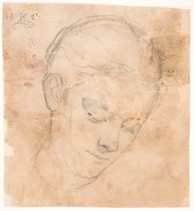 A irmã do artista, Elizabeth. 3/4 perfil à direita de Kristian Zahrtmann