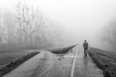Escolhas na Estrada Ennevoada de Krunoslav Nevistic