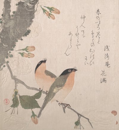 Dom-fafes e Flores de Cerejeira, século XIX. de Kubo Shunman