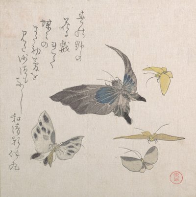 Borboletas, século XIX. de Kubo Shunman