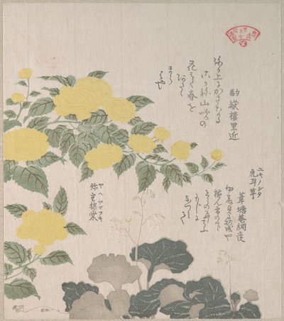  de Kubo Shunman