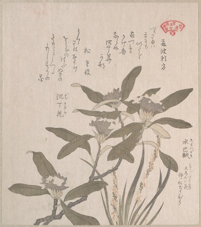  de Kubo Shunman