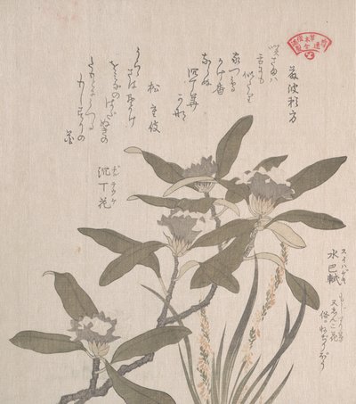 Daphne odora e Mojisuri-so, século XIX. de Kubo Shunman