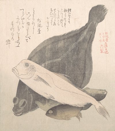 Linguado e outros peixes, século XIX. de Kubo Shunman