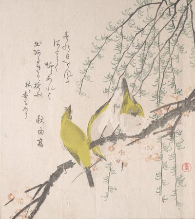 Olhos brancos japoneses com ameixeira e salgueiro..., ca. 1810. de Kubo Shunman