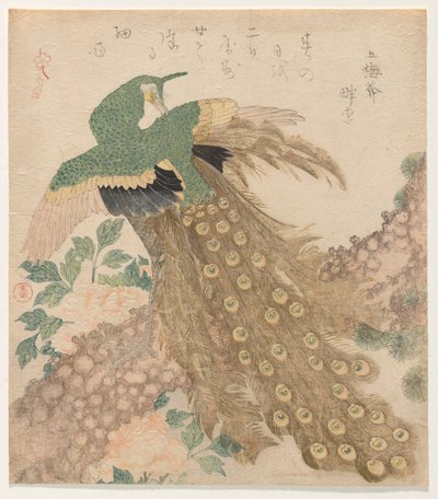 De Três Peças [Pavão] (Mi hira no uchi) de Kubo Shunman