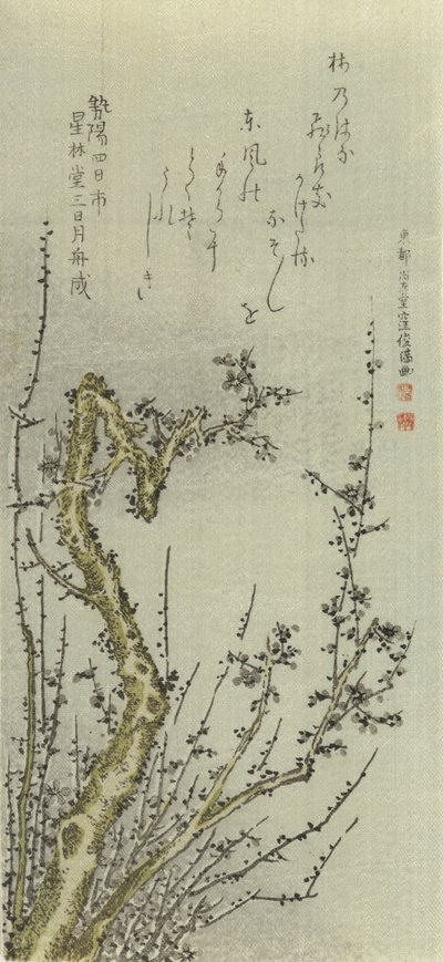 Ameixa Velha, 1796. de Kubo Shunman