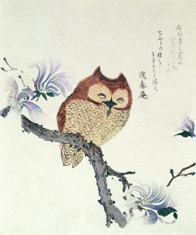 Coruja num ramo de magnólia (tinta e cor sobre papel) de Kubo Shunman