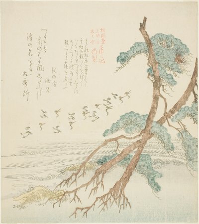 Pinheiros, da Série ”e a diferença ry para a geração do livro, Hisakataya, plano d empresa do ramo (geração Shofu empresa do ramo Hisakataya e diário de diferenças)” de Kubo Shunman