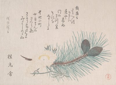 Pines and Cherry Blossoms, provavelmente 1814. de Kubo Shunman