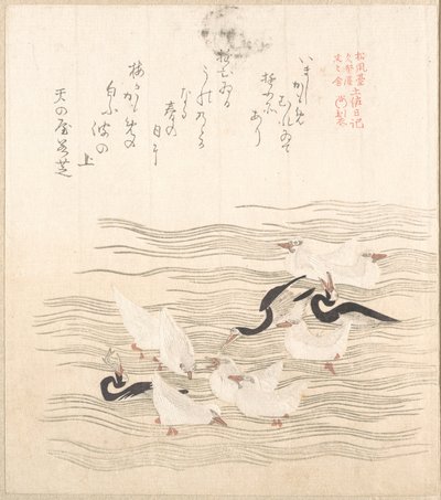 Gaivotas a brincar na água de Kubo Shunman