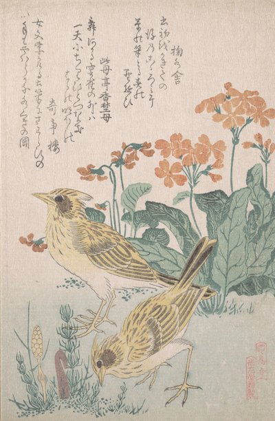 Cotovias e prímulas..., ca. 1805-10. de Kubo Shunman