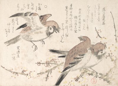 Sparrows and Plum Blossoms, século XIX. de Kubo Shunman