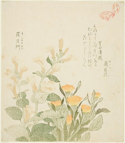 A calêndula comum e as flores de Rajoman de Kubo Shunman