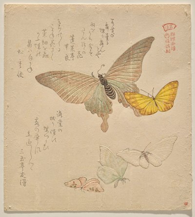 Manual de Pintura de Bando de Borboletas (Guncho? Gafu) de Kubo Shunman