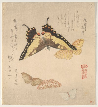 Manual de Pintura de Bando de Borboletas (Guncho? Gafu) de Kubo Shunman
