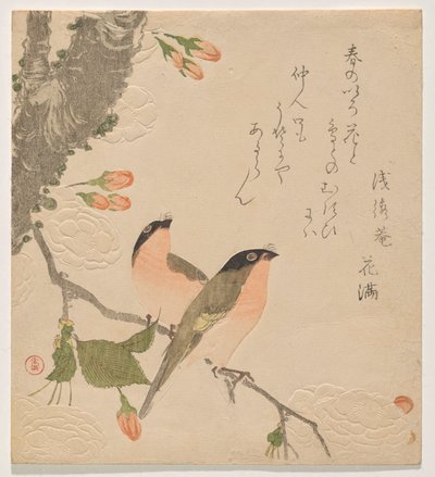 Dois Touros numa Cerejeira de Pétalas Duplas (Uso ni Yae-zakura) de Kubo Shunman
