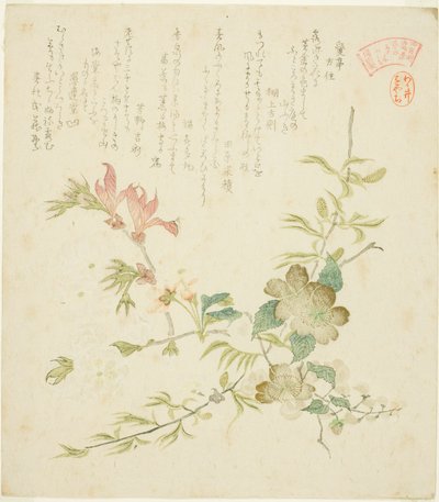 Várias flores da primavera, da série "Springtime Plants and Trees for the Kasumi Poetry Circle of the Yomo Group (Yomogawa Kasumi-ren haru no kusaki no uchi)" de Kubo Shunman
