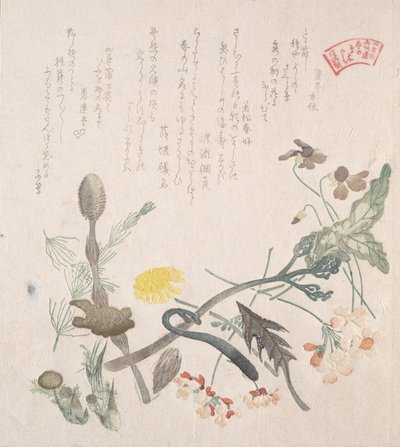 Violetas, Primeroses e Outras Flores da Primavera, século XIX. de Kubo Shunman