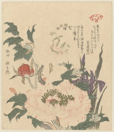 Peónias e íris
Kakitsubata botan (título sobre o objecto)
Uma selecção de plantas para a sociedade de poesia Kasumi (título da série)
Kasumiren sômoku awase (título da série sobre o objecto) de Kubota Shunman
