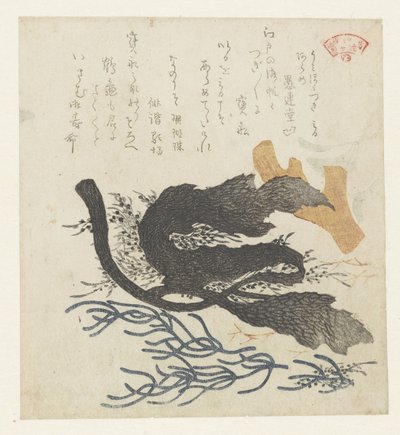 algas marinhas de Kubota Shunman