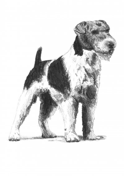  de Kulik