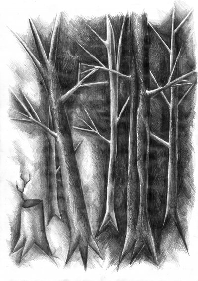 Renascimento da Floresta Negra de Kulik