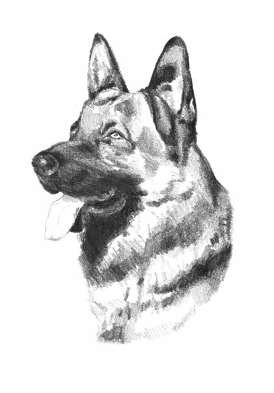  de Kulik