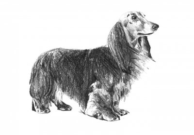  de Kulik