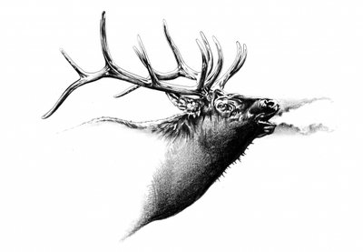  de Kulik