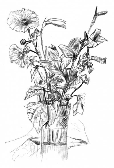  de Kulik