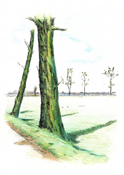  de Kulik