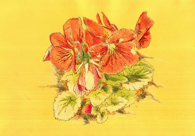  de Kulik