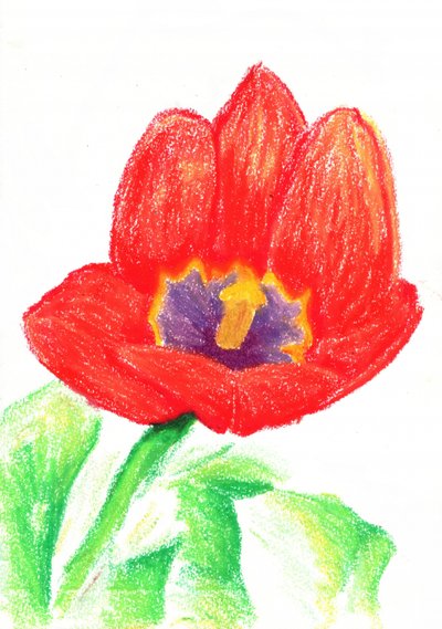  de Kulik