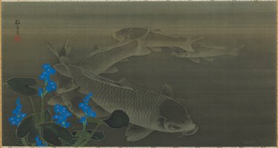 Carpa, período Edo, início do século XIX. de Kuroda Toko