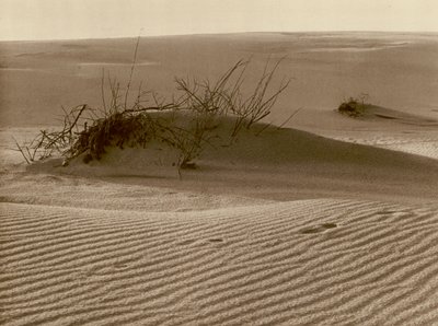 Duna errante no Curonian Spit ao norte de Rossitten; Mudando a duna um o cuspe de areia da Curlândia no norte de Rossitten (foto b/w) de Kurt Hielscher