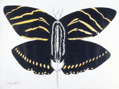 Borboleta com penas, 2004 (lápis de cor sobre papel) de Kurtis L. Miller