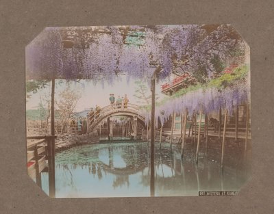 Pessoas em uma ponte, com glicínias florescendo em primeiro plano, em Kameido, Tóquio, Japão de Kusakabe Kimbei