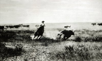 Cowboy a cavalo lassooing um bezerro (foto de bw) de L.A. Huffman
